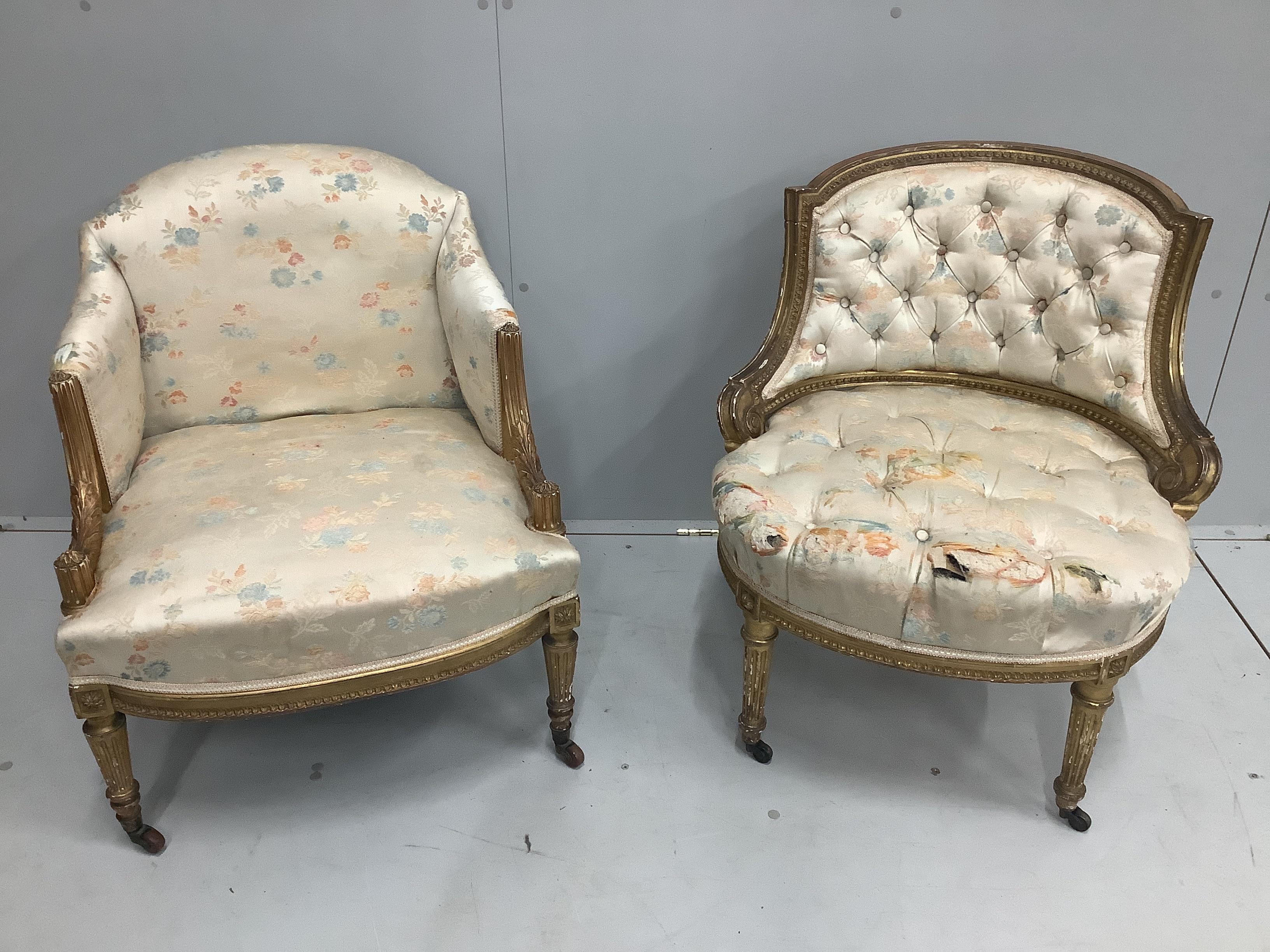 Two late 19th century giltwood and composition salon chairs, larger width 64cm, height 74cm